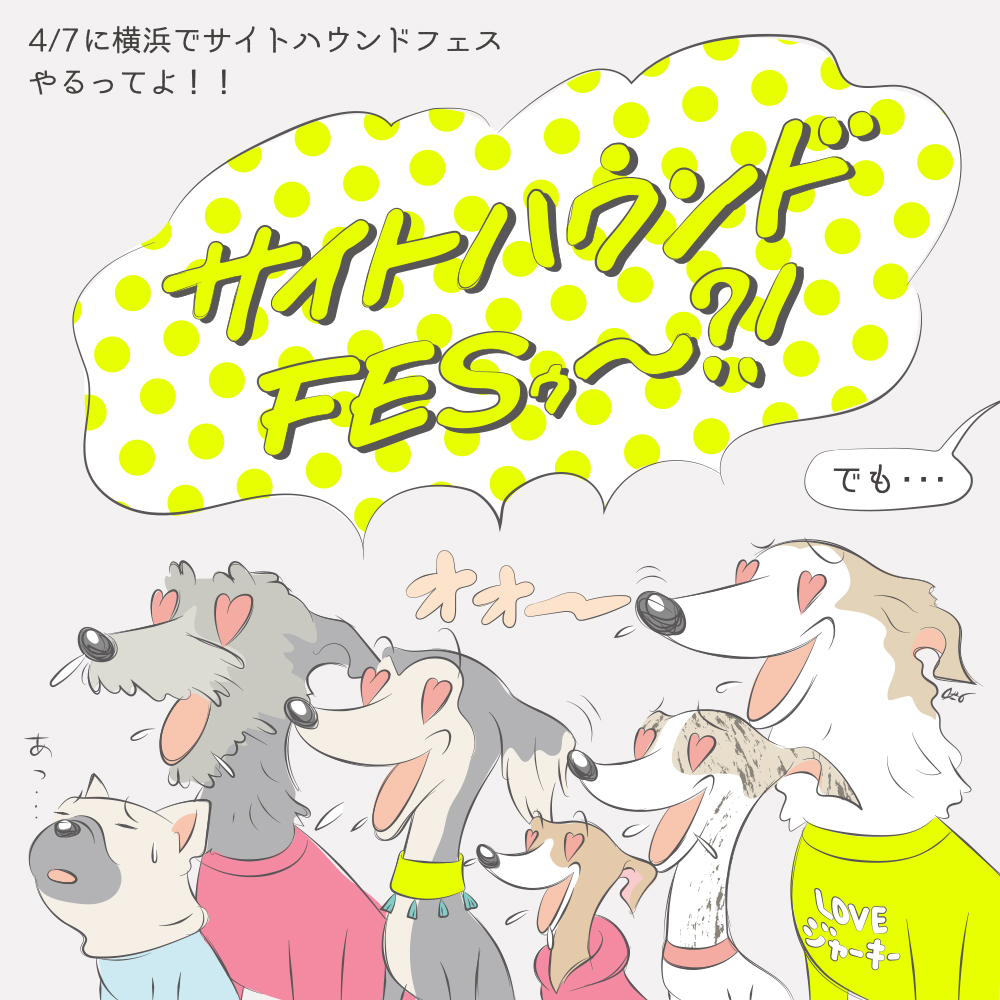houndys　サイトハウンドフェス
