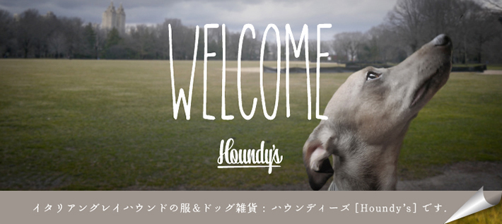 houndys　サイトハウンドフェス